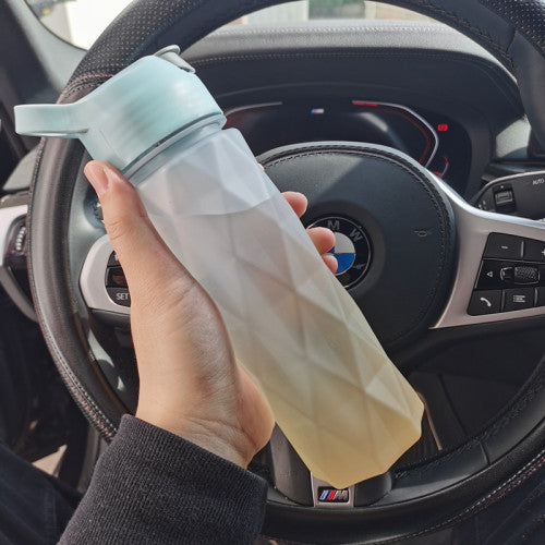 Arty Dine Spray Water Bottle for Girls